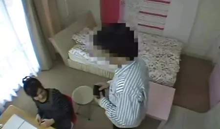 این است که 20 سال منو عمم بچه گربه ها جمع آوری گل و